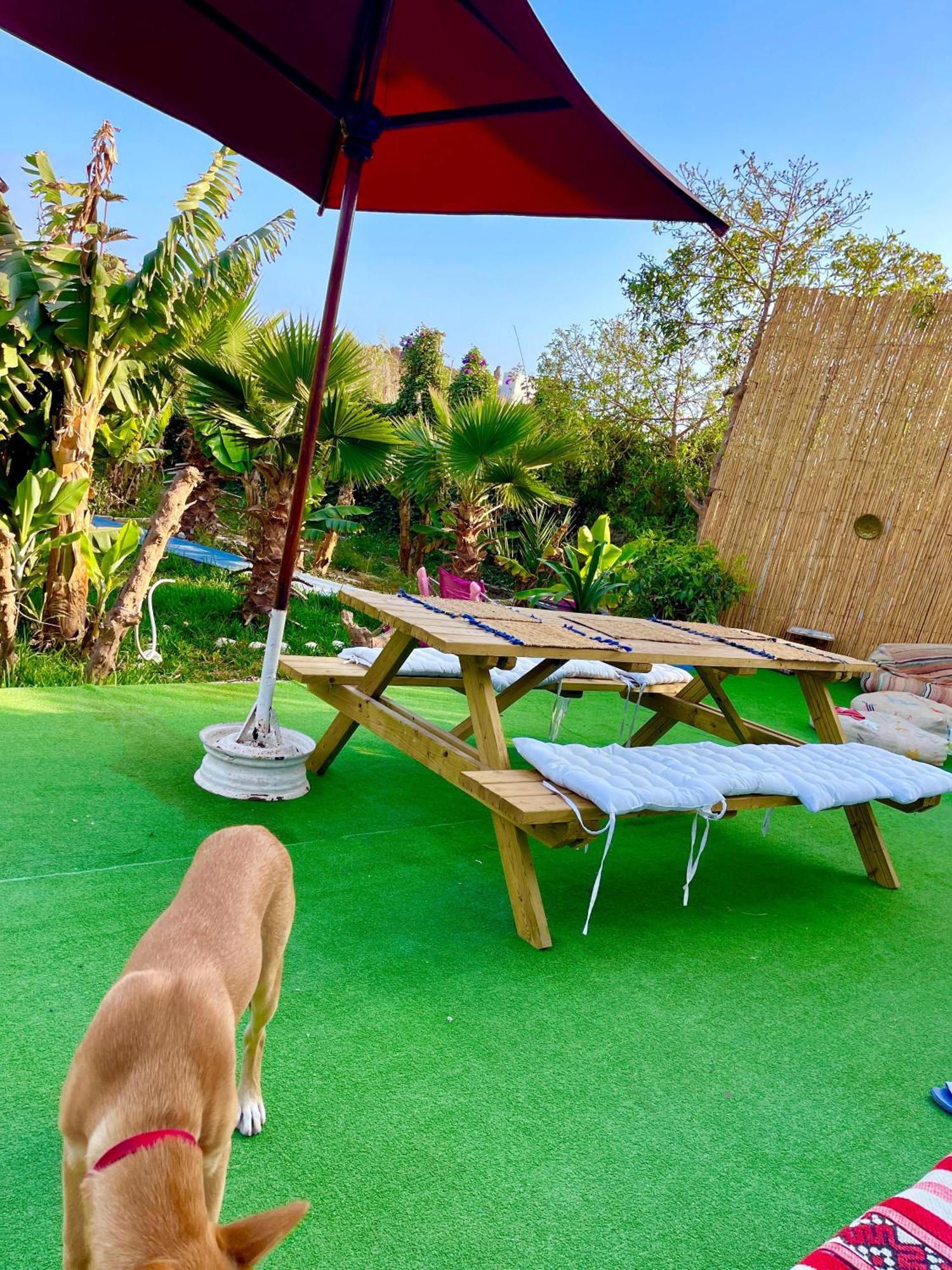 Surf & Salsa Ocean House Bed & Breakfast Tamraght Exterior photo